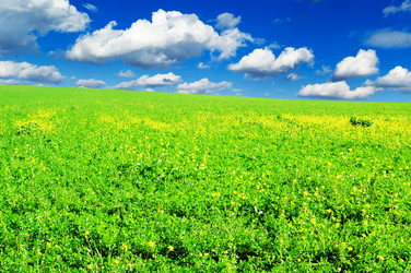 Similar image 1583420