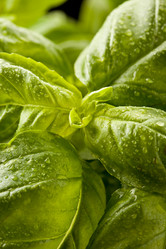 Similar image 1583472