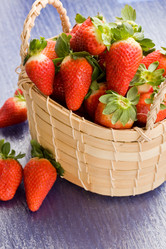 Similar image 1583507