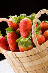 Similar image 1583513