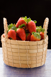 Similar image 1583522