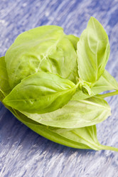 Similar image 1583555