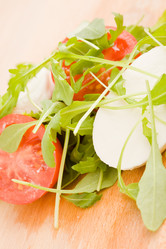 Similar image 1583574