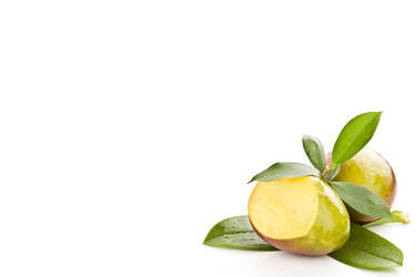 Similar image 1583611