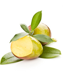 Similar image 1583612