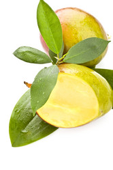 Similar image 1583628