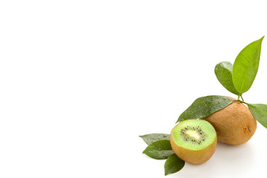 Similar image 1583636