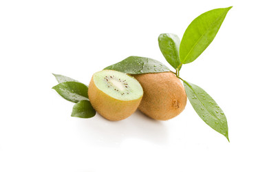 Similar image 1583638