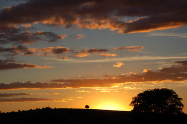 Similar image 1583741