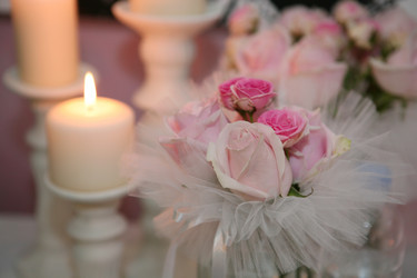 Similar image 1583799