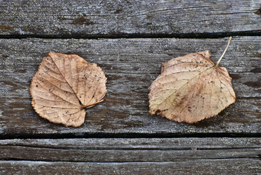 Similar image 1583815