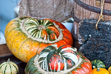 Similar image 1583821