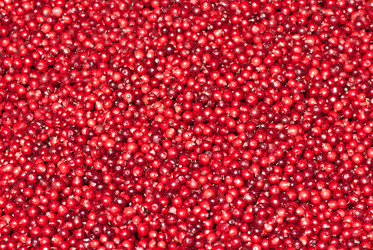 Similar image 1583834