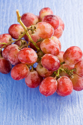 Similar image 1583958