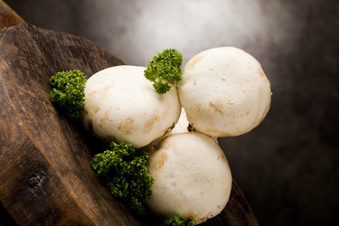 Similar image 1583965