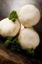 Similar image 1583966