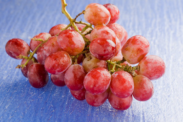 Similar image 1583968