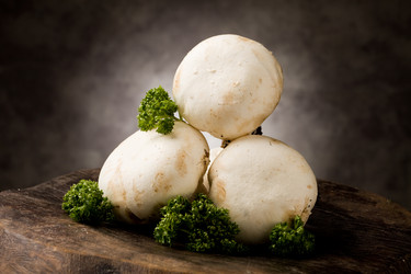 Similar image 1583973