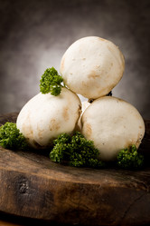 Similar image 1583974