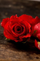 Similar image 1584019