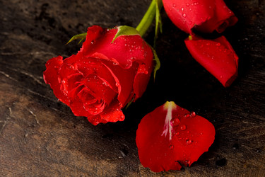 Similar image 1584022