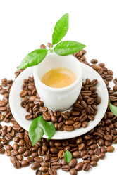 Similar image 1584045