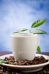 Similar image 1584049