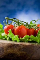 Similar image 1584056