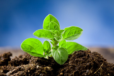 Similar image 1584060