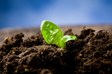 Similar image 1584062