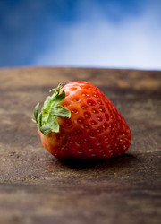 Similar image 1584069