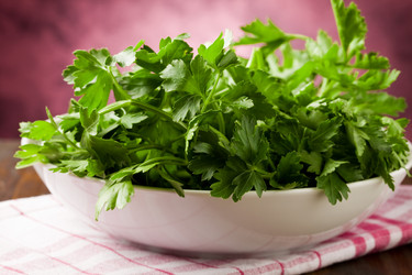 Similar image 1584213