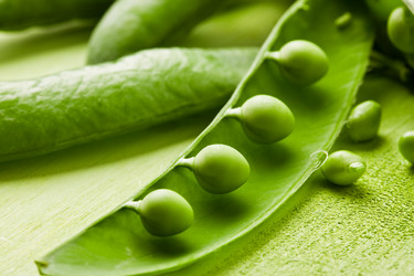 Similar image 1584215