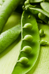 Similar image 1584216