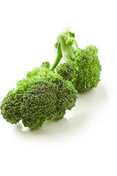 Similar image 1584230