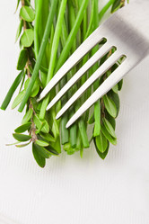 Similar image 1584261