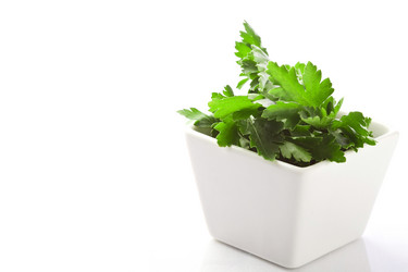 Similar image 1584271