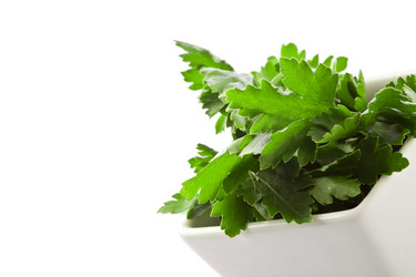 Similar image 1584272