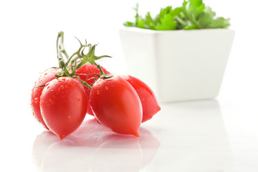 Similar image 1584285