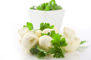 Similar image 1584294