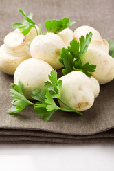 Similar image 1584299