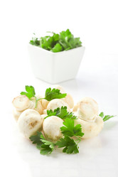 Similar image 1584302