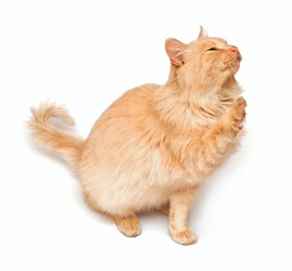 Similar image 1584349