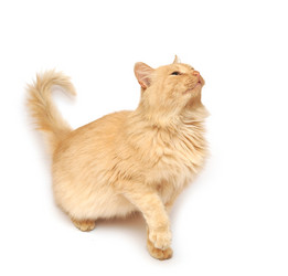 Similar image 1584350