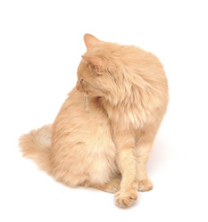 Similar image 1584351