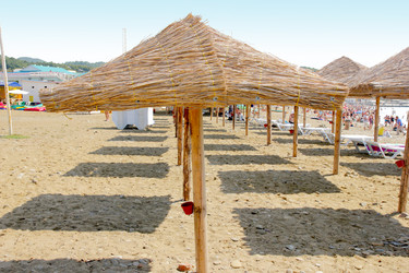 Similar image 1584487