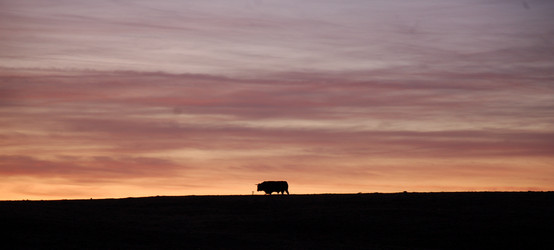 Similar image 1584676