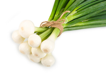 Similar image 1584707