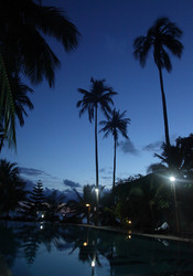 Similar image 1584719