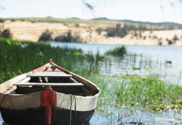 Similar image 1584721